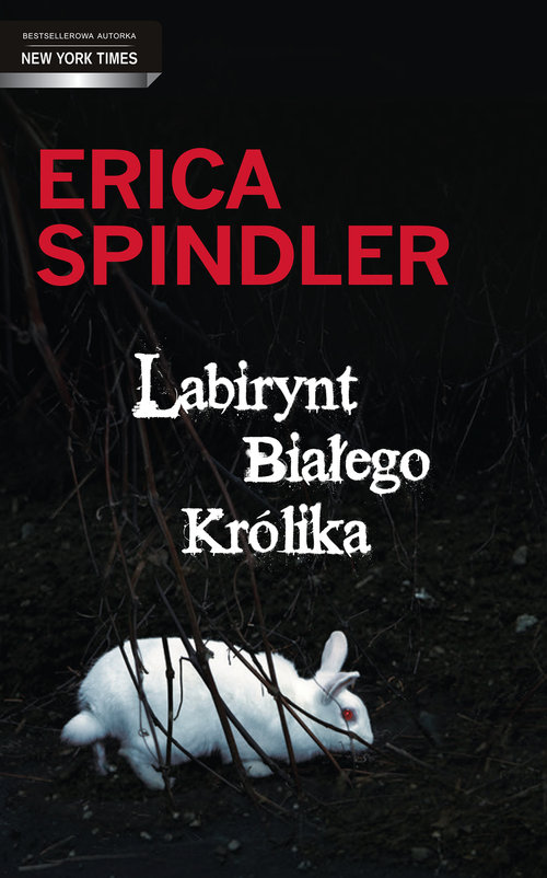 Image of Labirynt Białego Królika