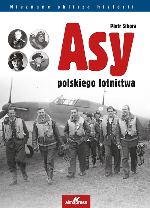 Image of Asy polskiego lotnictwa