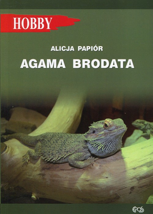 Image of Agama brodata