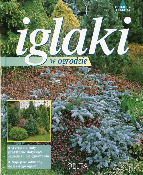 Image of Iglaki w ogrodzie