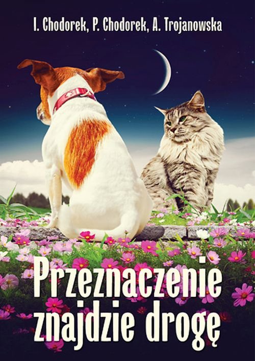 Image of Przeznaczenie znajdzie drogę
