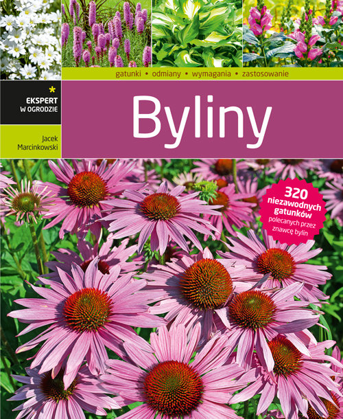 Image of Byliny
