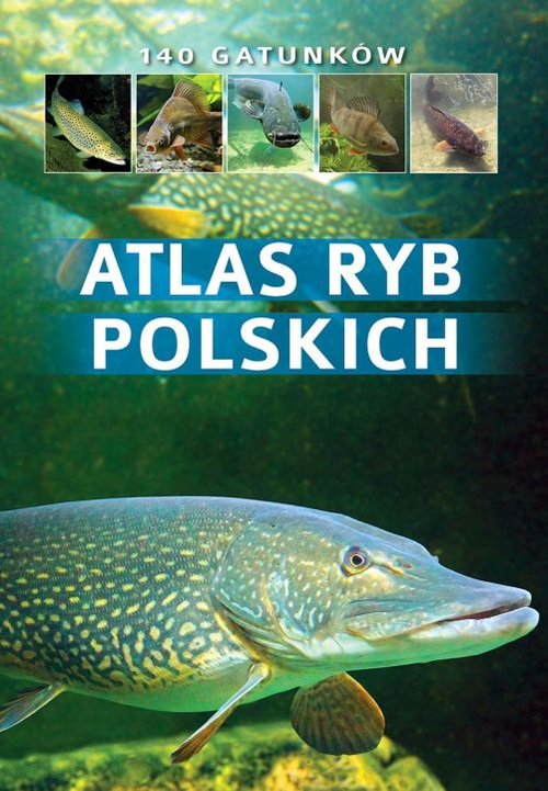 Image of Atlas ryb polskich 140 gatunków