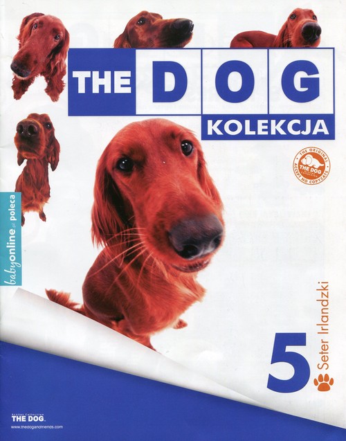 Image of Dog Kolekcja 5 Seter Irlandzki