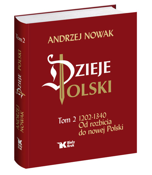 Image of Dzieje Polski Od rozbicia do nowej Polski Tom 2