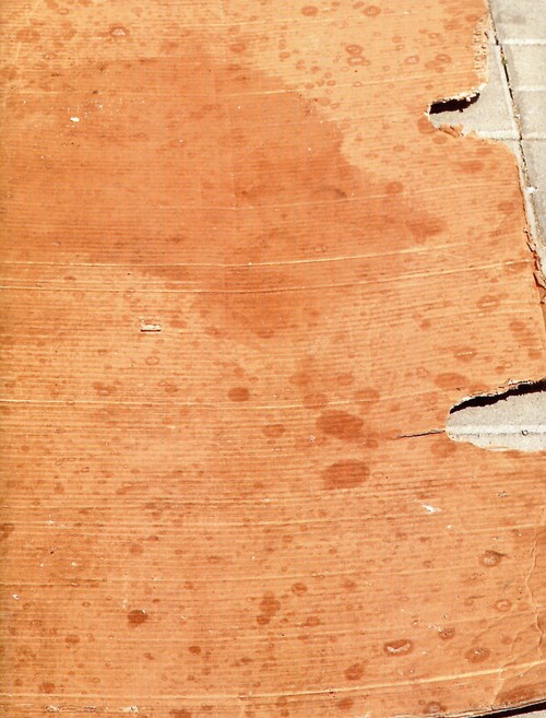 Image of Honky