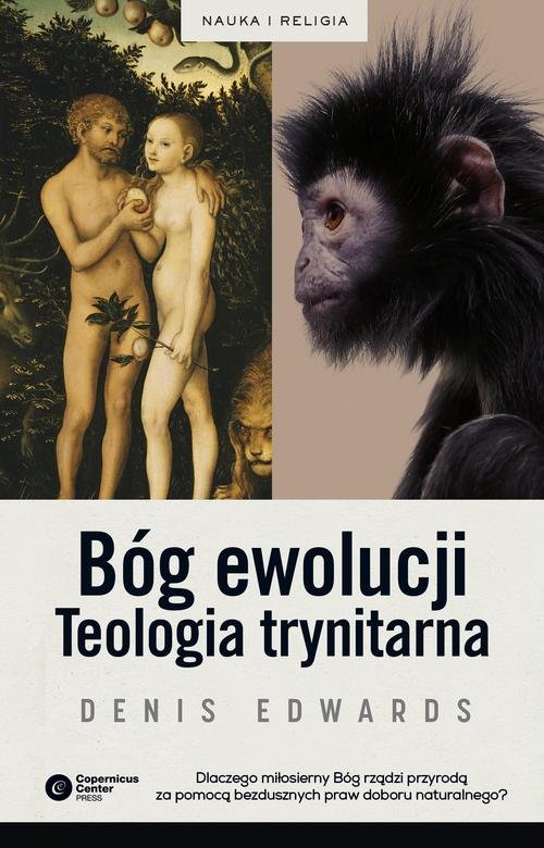 Image of Bóg ewolucji Teologia trynitarna