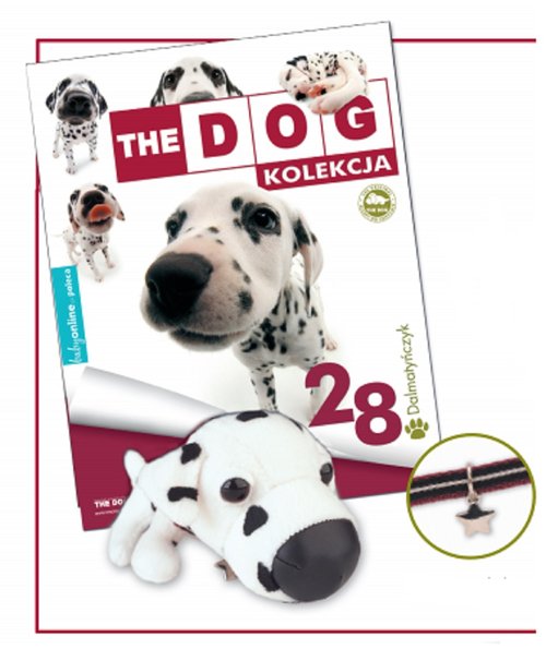 Image of Dalmatyńczyk