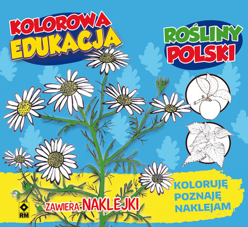 Image of Kolorowa edukacja Rośliny Polski naklejka
