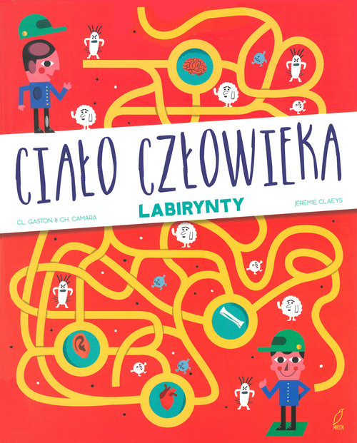 Image of Ciało człowieka Labirynty