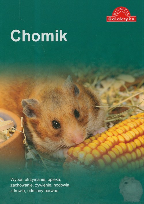 Image of Chomik