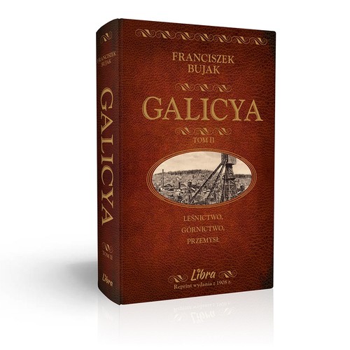 Image of Galicya Tom 2 Galicja - Leśnictwo, górnictwo, przemysł