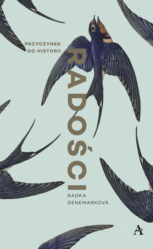 Image of Przyczynek do historii radości