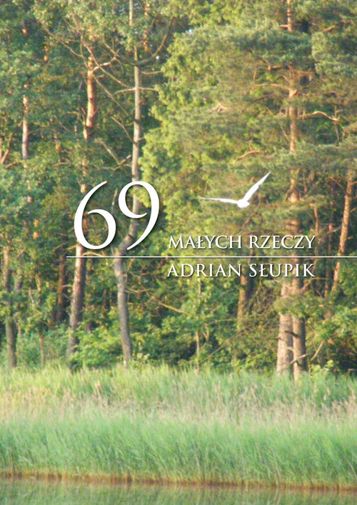 Image of 69 małych rzeczy