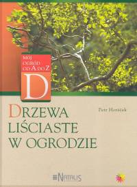 Image of Drzewa liściaste w ogrodzie