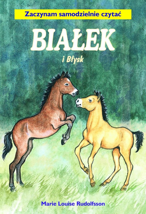 Image of Białek i Błysk Tom 2