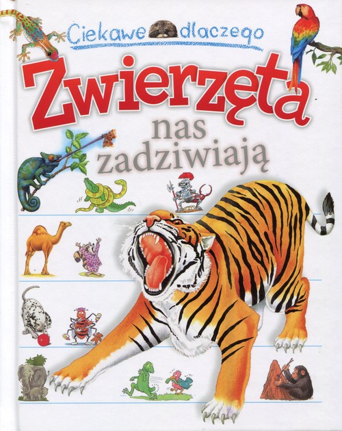 Image of Ciekawe dlaczego Zwierzęta nas zadziwiają