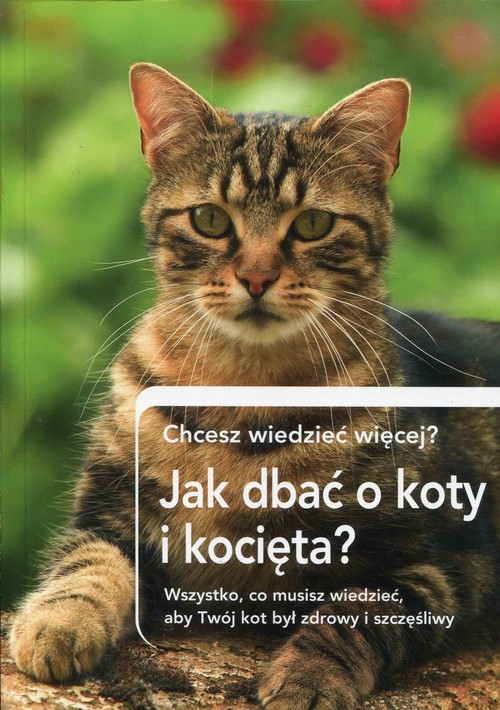 Image of Jak dbać o koty i kocięta? Chcesz wiedzieć więcej? Wszystko, co musisz wiedzieć, aby Twój kot był zdrowy i szczęśliwy