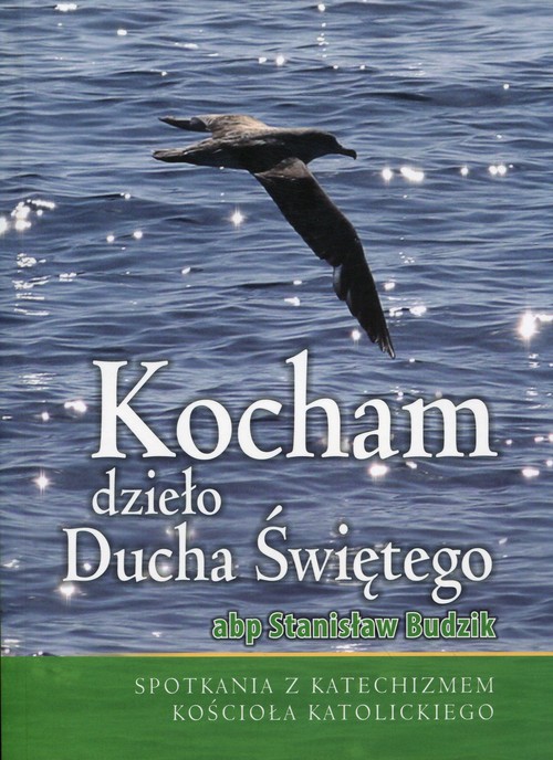 Image of Kocham dzieło Ducha Świętego Spotkania z Katechizmem Kościoła Katolickiego