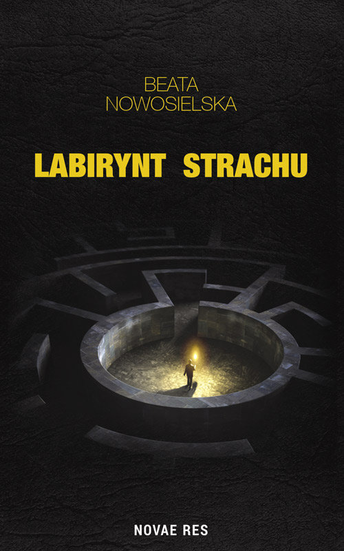 Image of Labirynt strachu