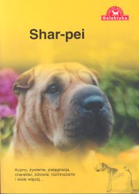 Image of Shar Pei