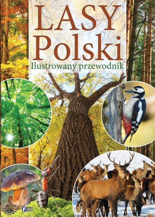 Image of Lasy Polski Ilustrowany przewodnik