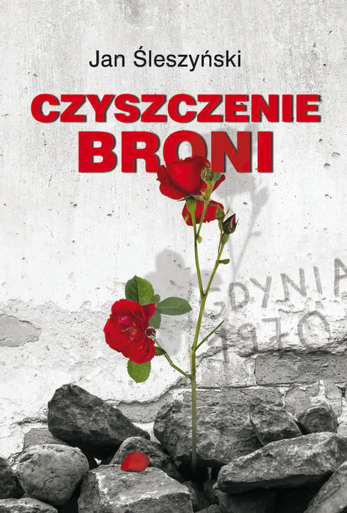 Image of Czyszczenie broni