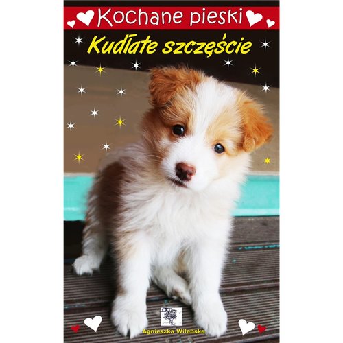 Image of Kochane pieski Kudłate szczęście