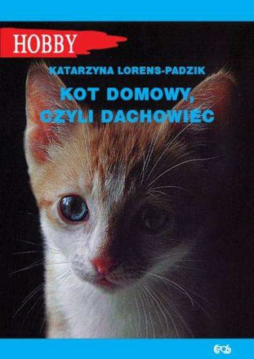 Image of Kot domowy czyli dachowiec