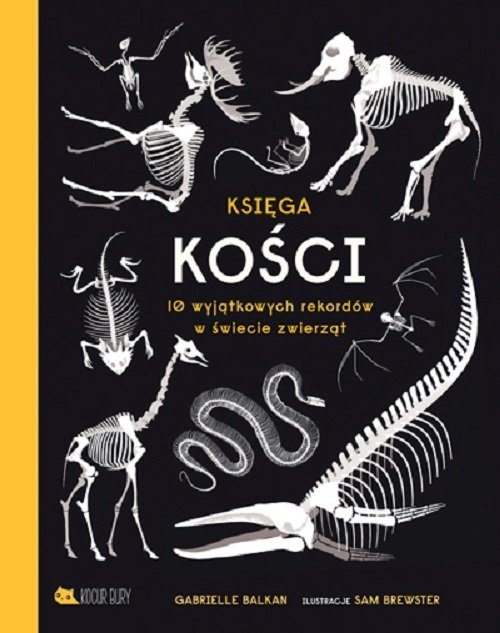 Image of Księga kości