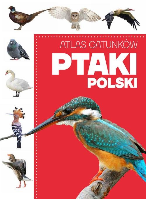 Image of Atlas gatunków Ptaki Polski