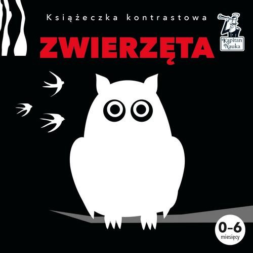Image of Książeczka kontrastowa Zwierzęta