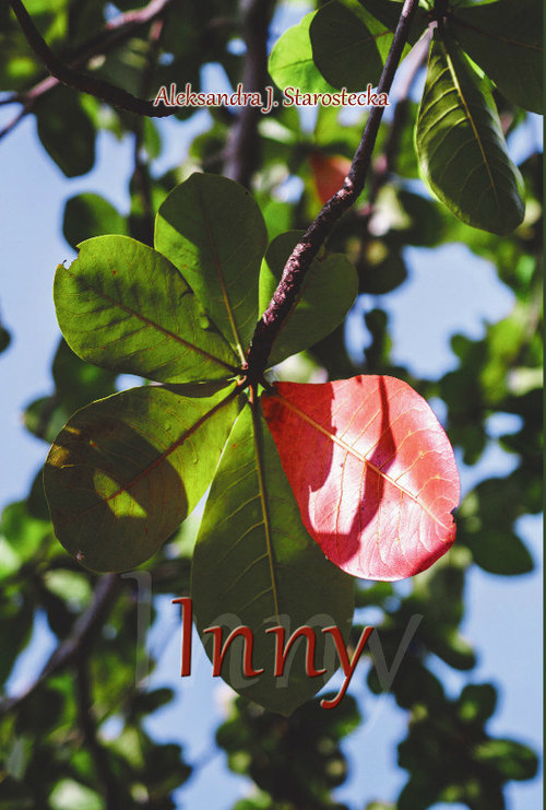Image of Inny