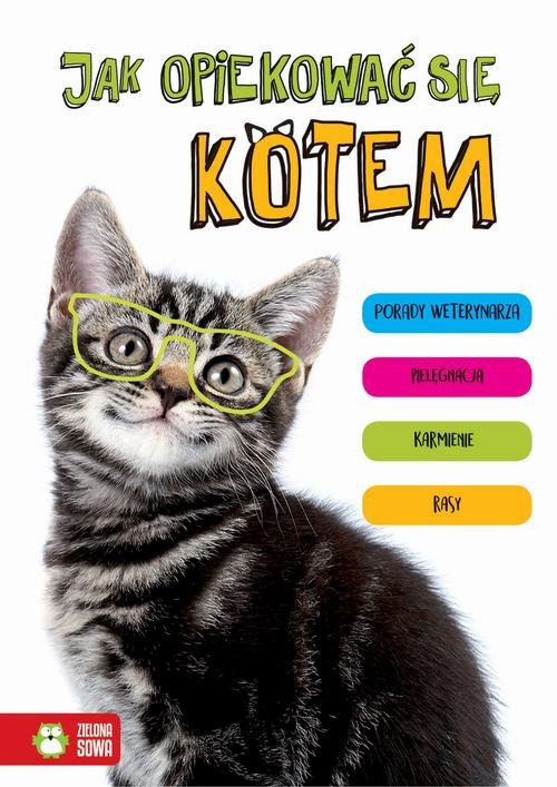 Image of Jak opiekować się kotem