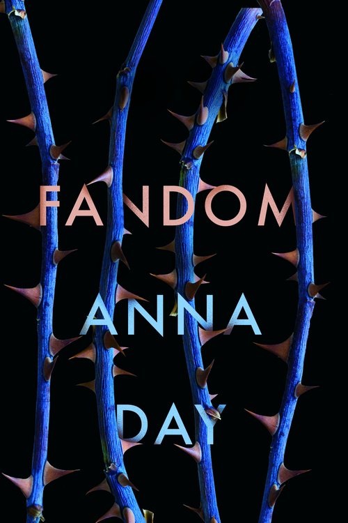 Image of Fandom