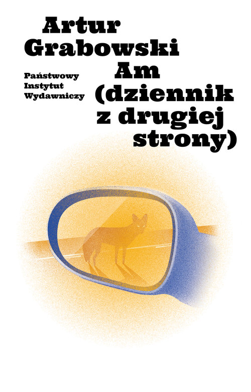 Image of Am (dziennik z drugiej strony)