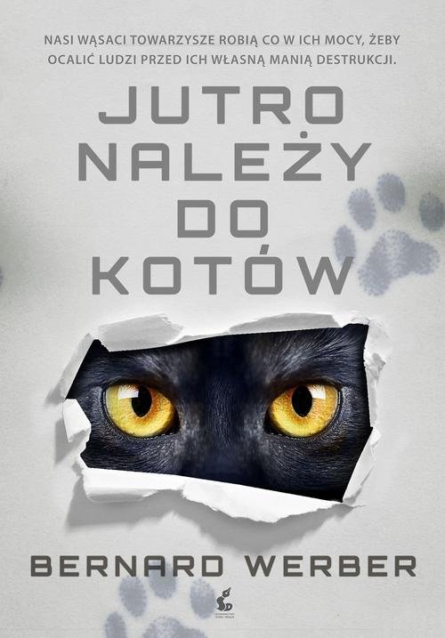 Image of Jutro należy do kotów