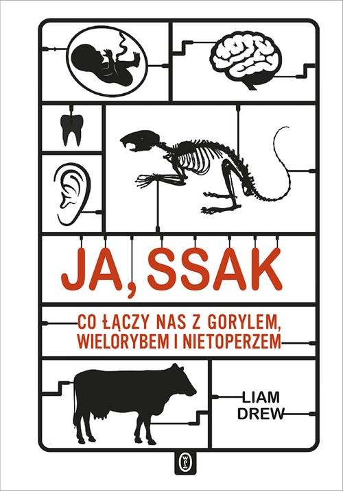 Image of Ja, ssak Co łączy nas z gorylem, wielorybem i nietoperzem