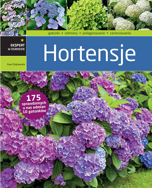 Image of Hortensje