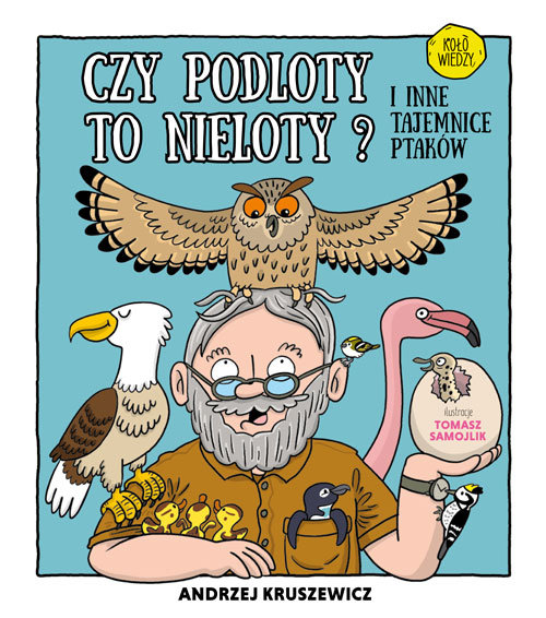 Image of Czy podloty to nieloty I inne tajemnice ptaków