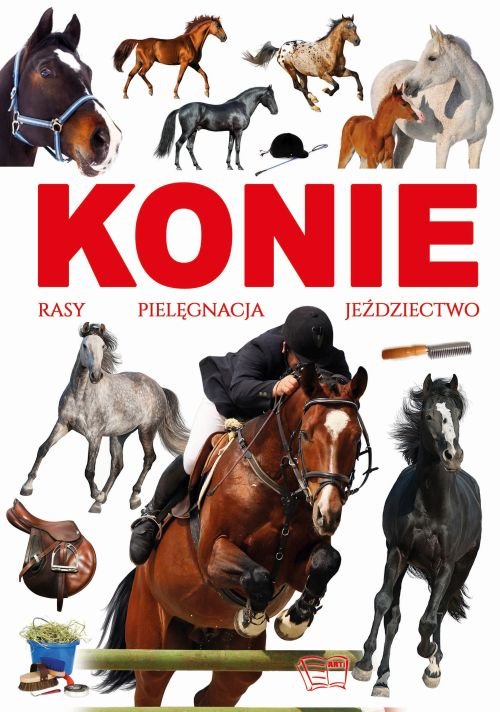 Image of Konie rasy pielęgnacja jeździectwo
