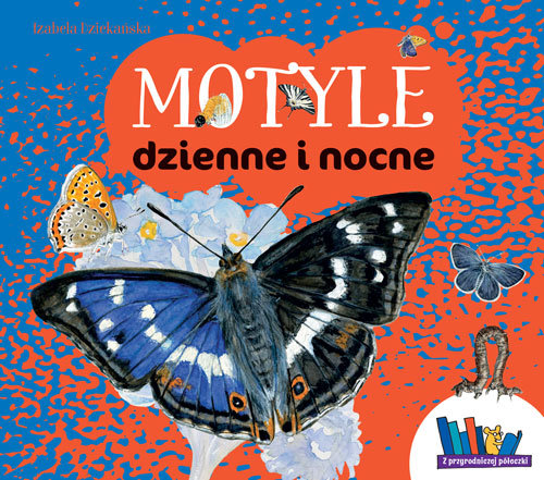 Image of Motyle dzienne i nocne