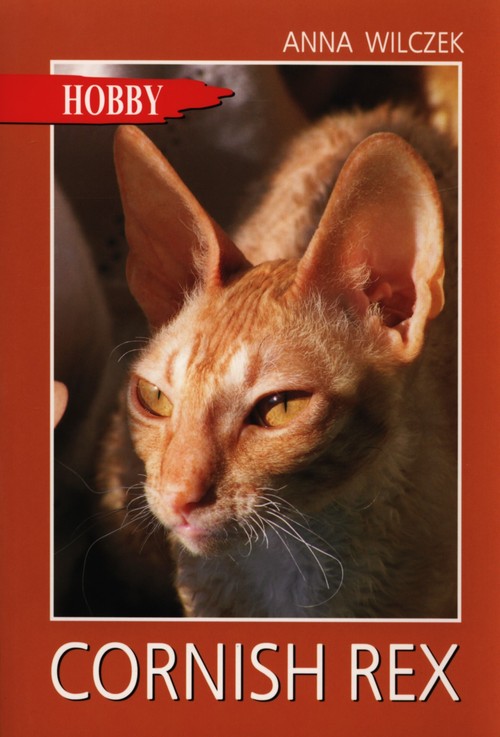Image of Cornish rex