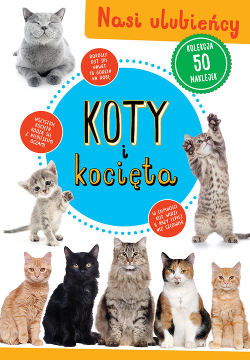 Image of Koty i kocięta Nasi ulubieńcy