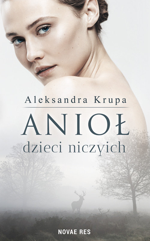 Image of Anioł dzieci niczyich