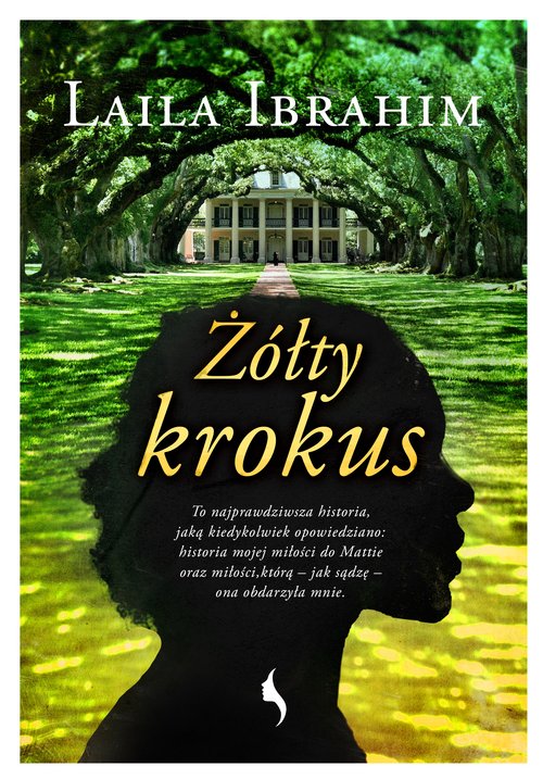 Image of Żółty krokus
