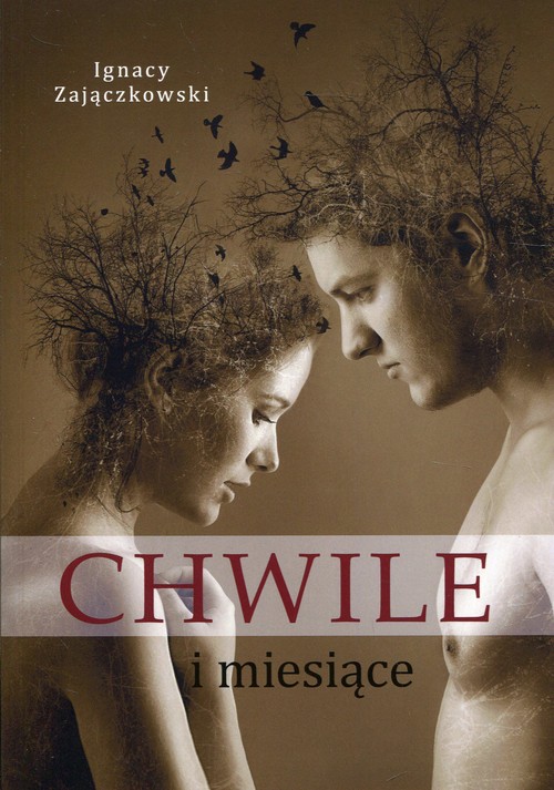 Image of Chwile i miesiące