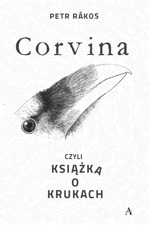 Image of Corvina czyli książka o krukach
