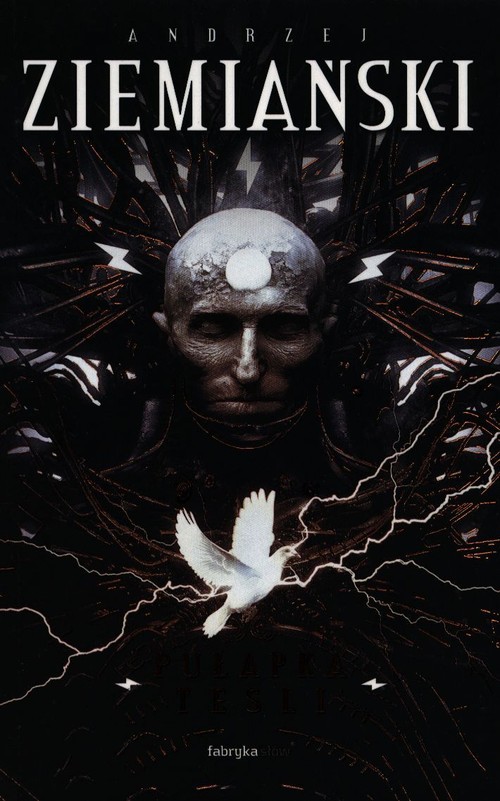 Image of Pułapka Tesli