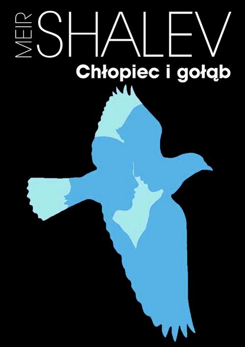 Image of Chłopiec i gołąb